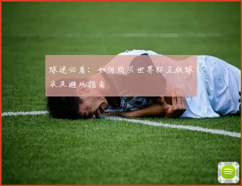 球迷必看：如何购买世界杯正版球衣及避坑指南