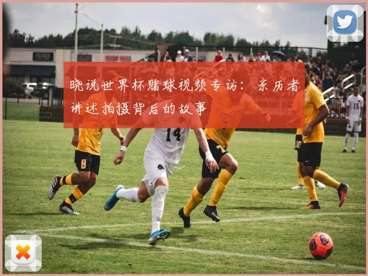 晓说世界杯赌球视频专访：亲历者讲述拍摄背后的故事