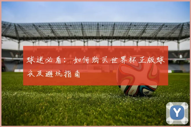 球迷必看：如何购买世界杯正版球衣及避坑指南