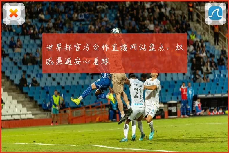世界杯官方合作直播网站盘点，权威渠道安心看球