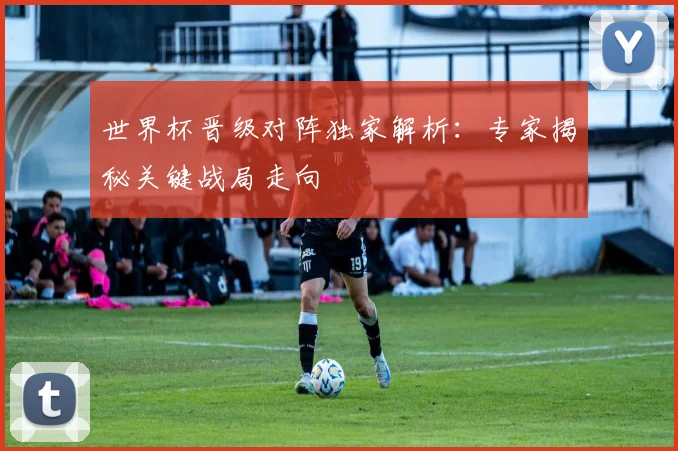 世界杯晋级对阵独家解析：专家揭秘关键战局走向