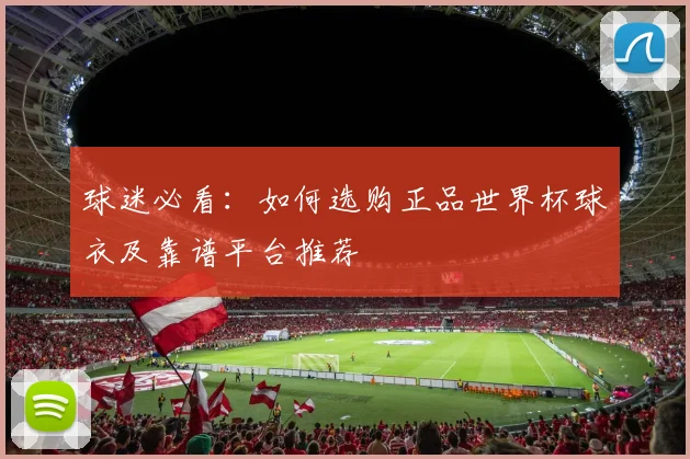 球迷必看：如何选购正品世界杯球衣及靠谱平台推荐