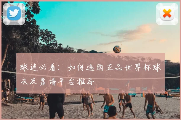 球迷必看：如何选购正品世界杯球衣及靠谱平台推荐