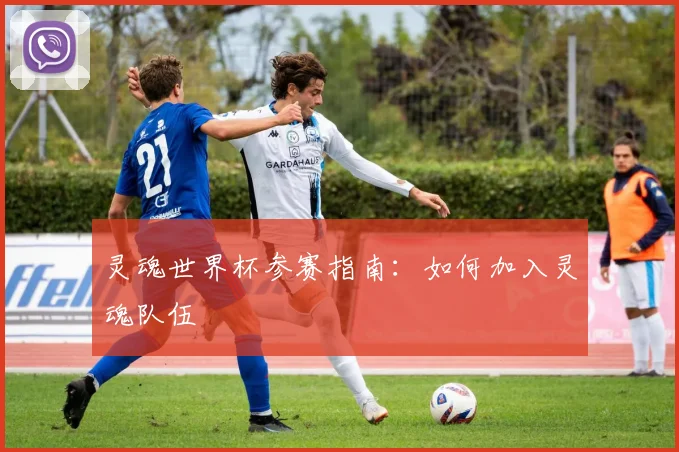 灵魂世界杯参赛指南：如何加入灵魂队伍